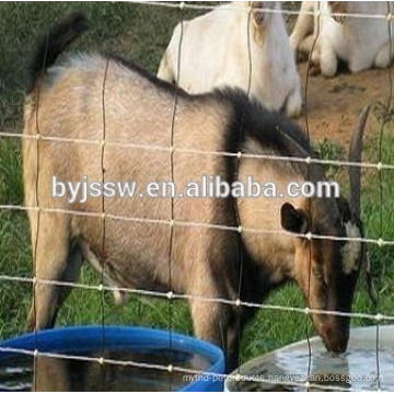 Grassland Fence/Used Horse Fence Panels/Cattle Rail Fence